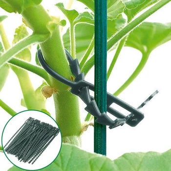50 бр/пакет 13,5 см/17 см Пластмасови кабелни превръзки за растенията, за многократна употреба кабелни превръзки, комплекти за отглеждане в оранжерия за подкрепа на катерене по дърветата в градината
